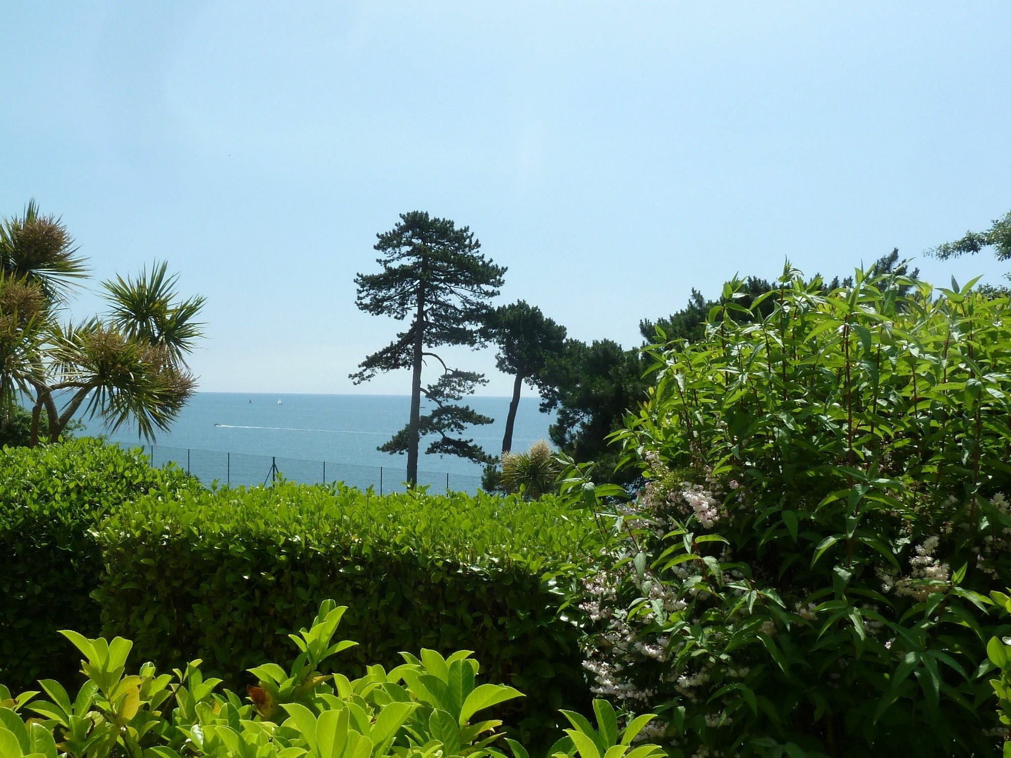 Tramontane Apartment At Hesketh Crescent Torquay Kültér fotó